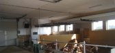 Calve stable Peuerbach (Austria)